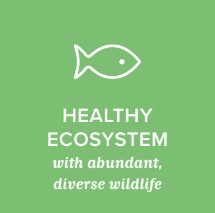 Goal: Healthy Ecosystem